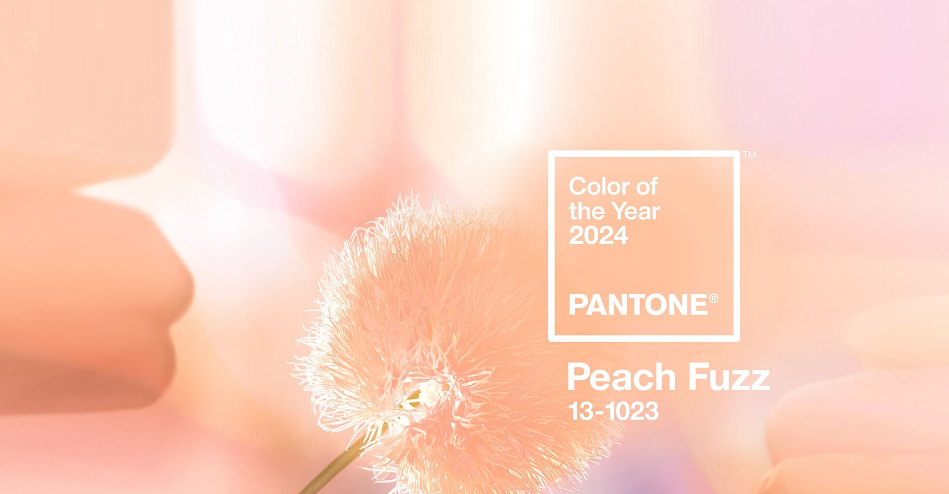 peach fuzz 5